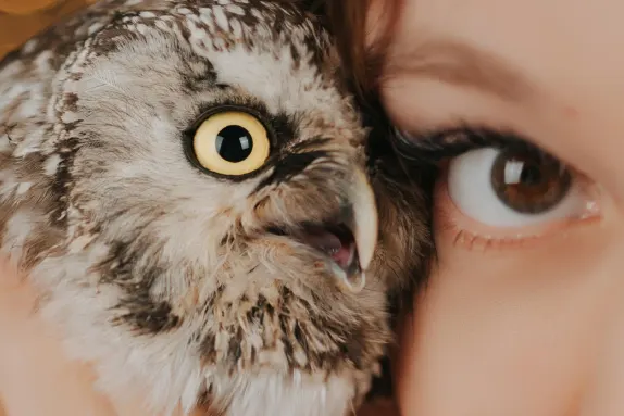 カジノ エムアール フォーチュン サポート